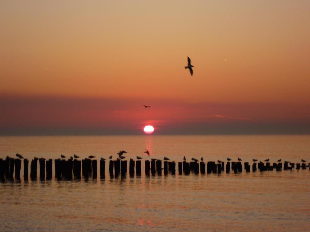 Vakantiehuis Domburg Do08 Met Sauna! Экстерьер фото